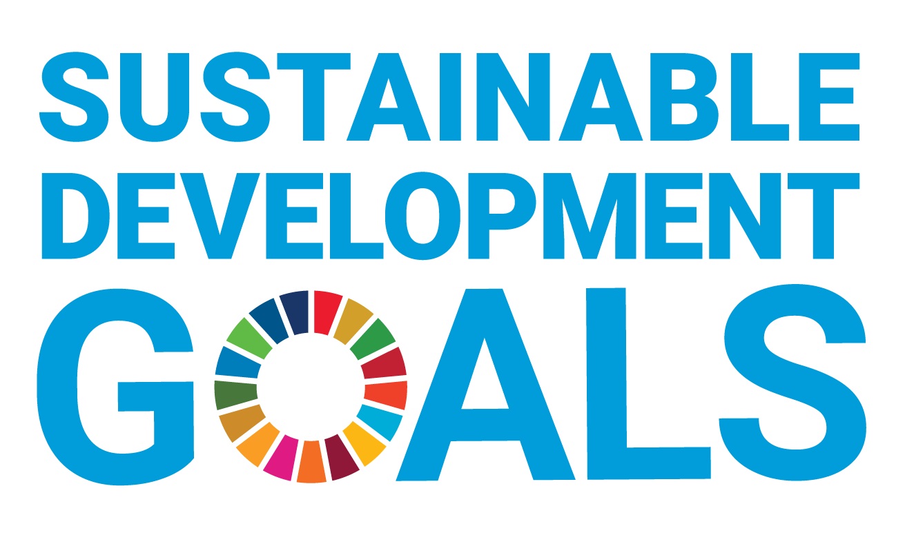 The Sustainable Development Goals logo