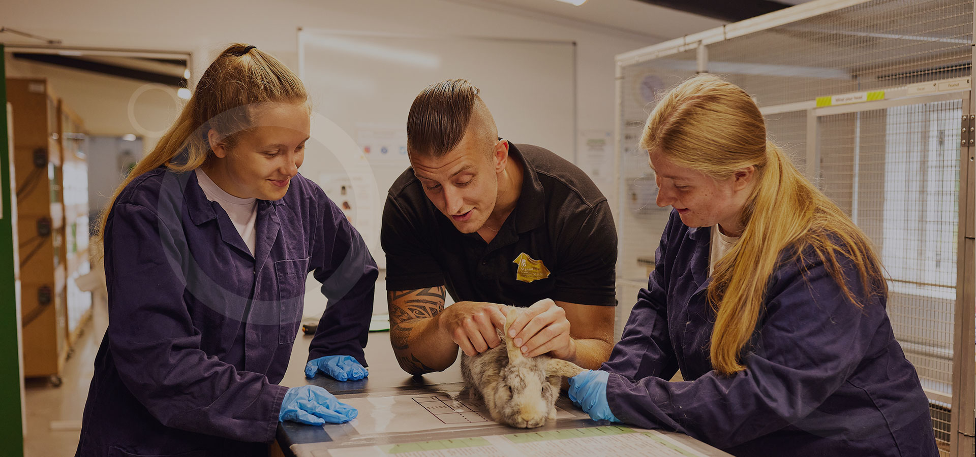 Animal Care teacher training two students how to check a rabbits health